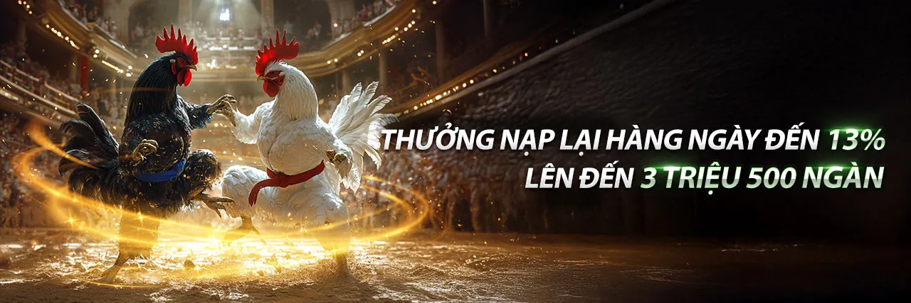 Hình ảnh đá gà trực tuyến